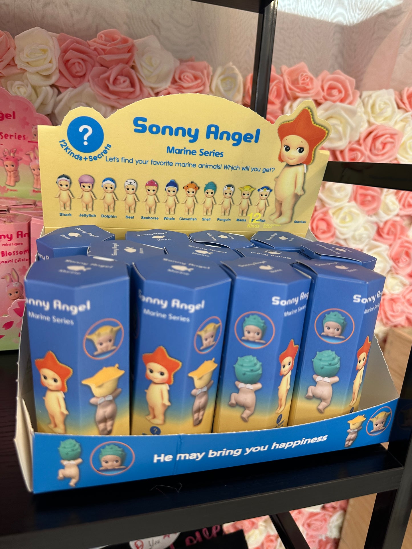 Sonny Angels Surprise