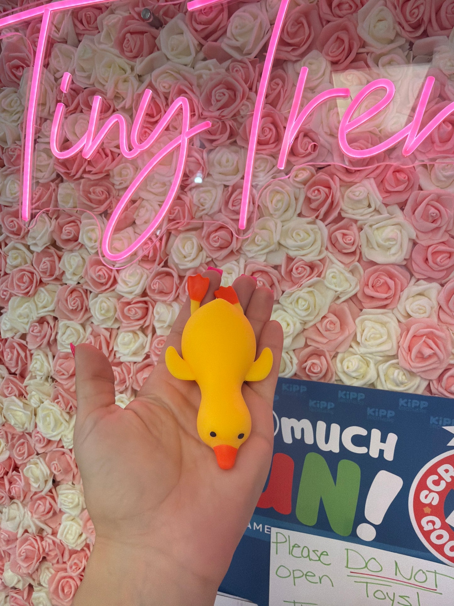 Mini Duck Squishy
