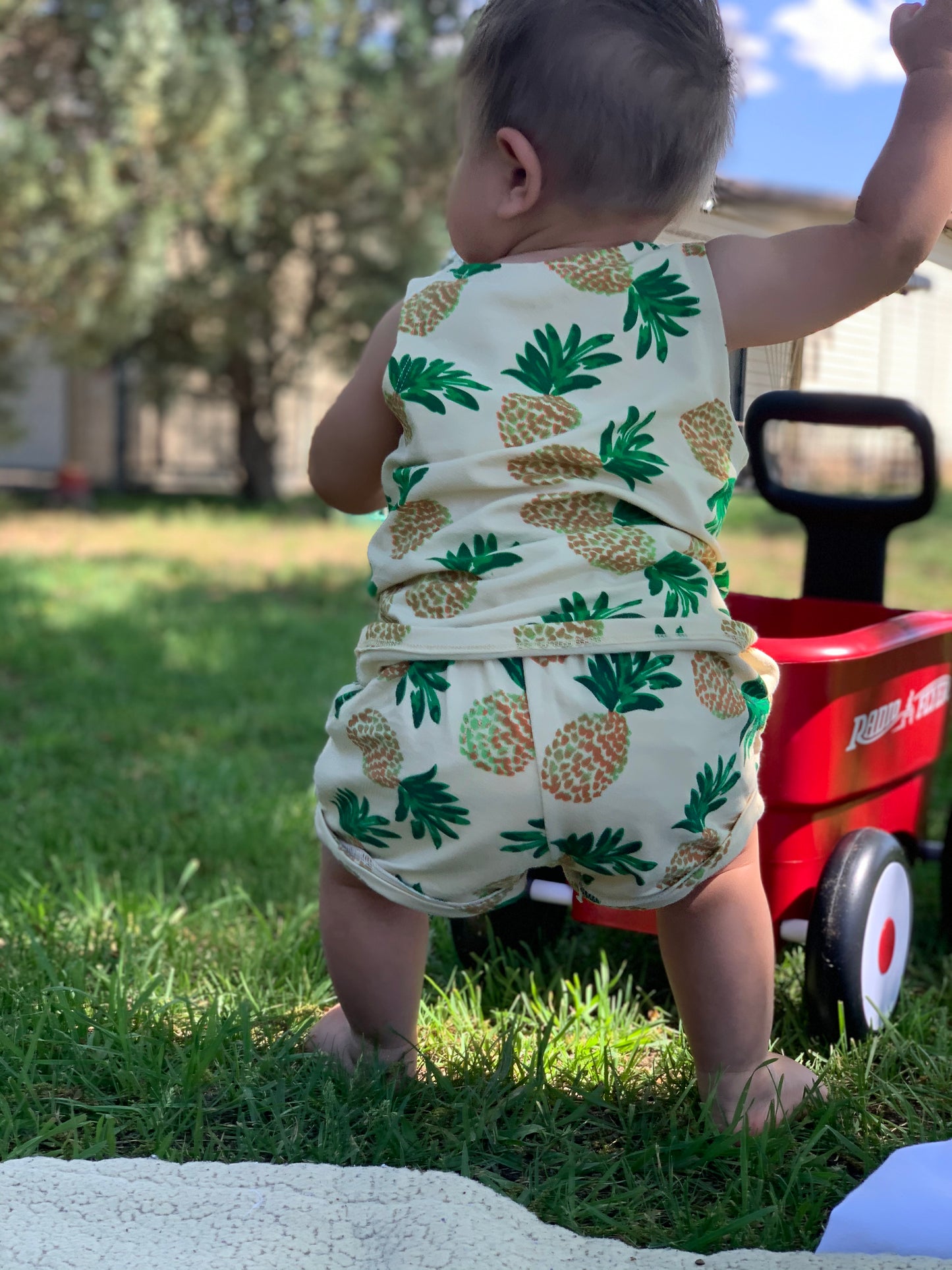 Pineapple Set
