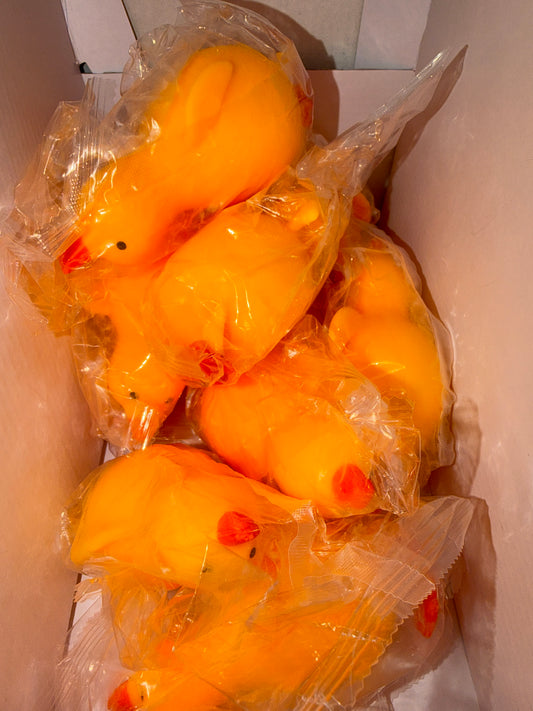 Duck Squishy
