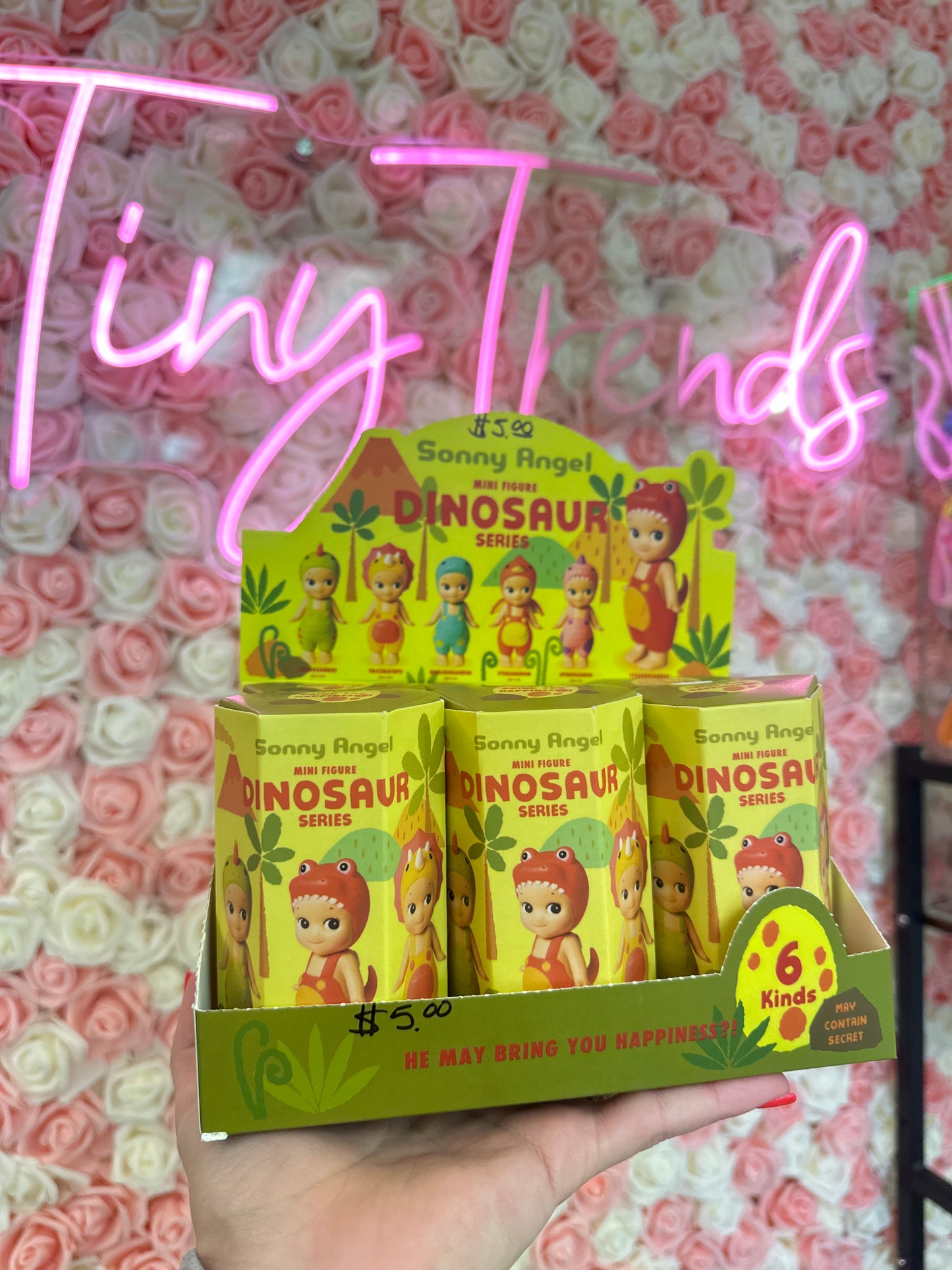 Sonny Angels Surprise