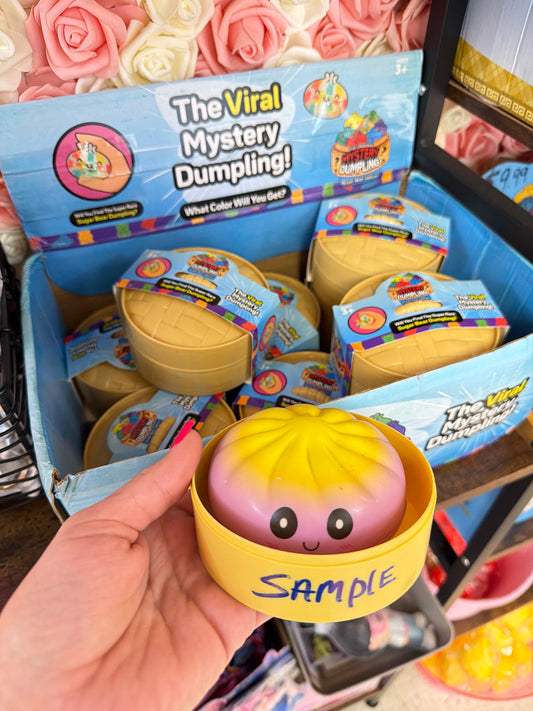 MYSTERY Sugar Bear Dumpling Squishy