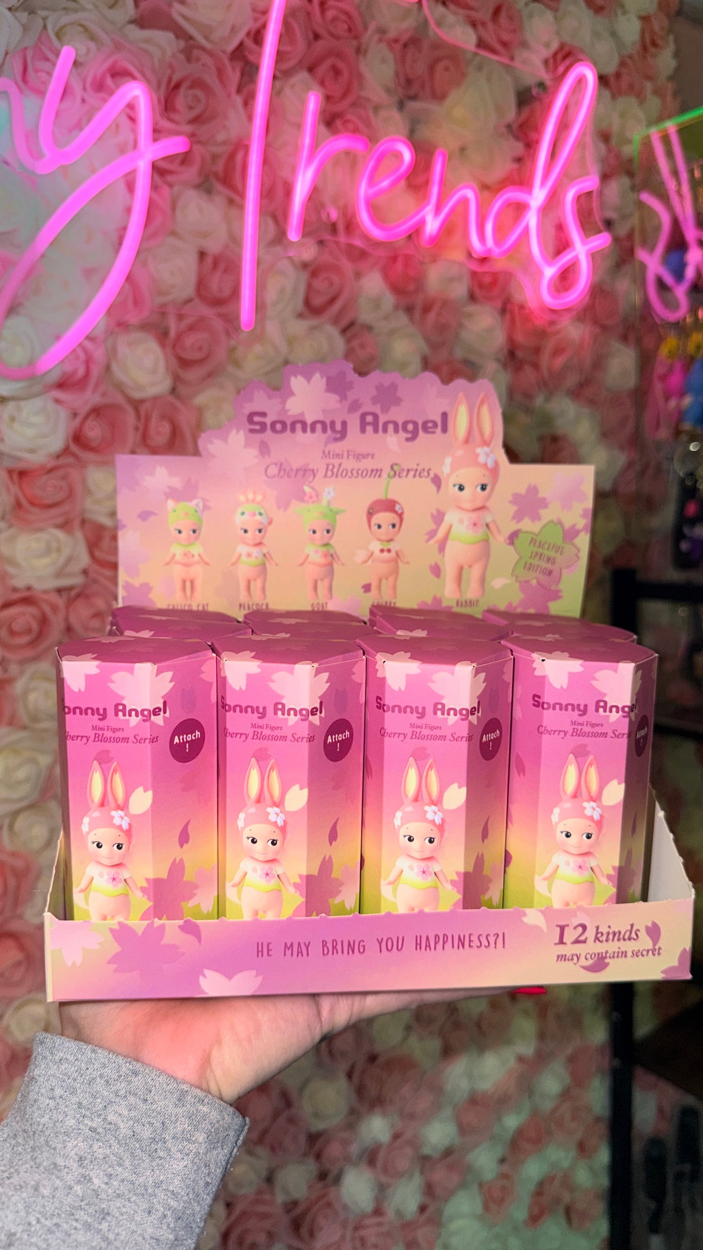 Sonny Angels Surprise Figures