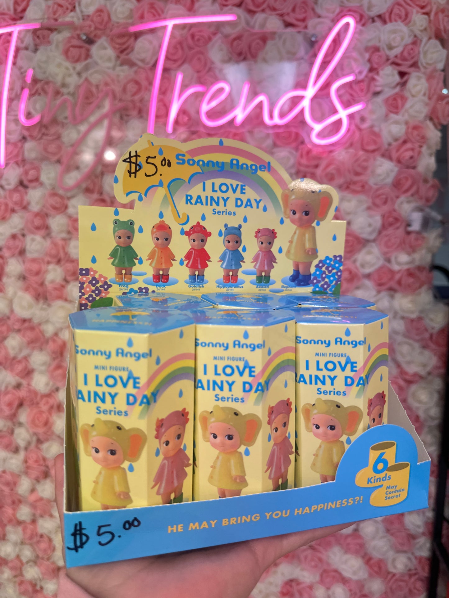 Sonny Angels Surprise
