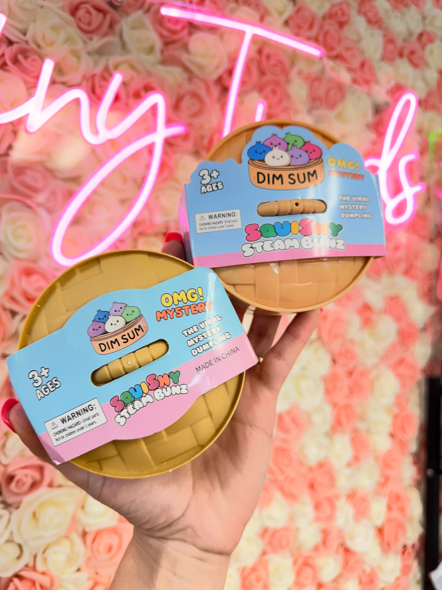 MYSTERY Squishy dumpling DimSum