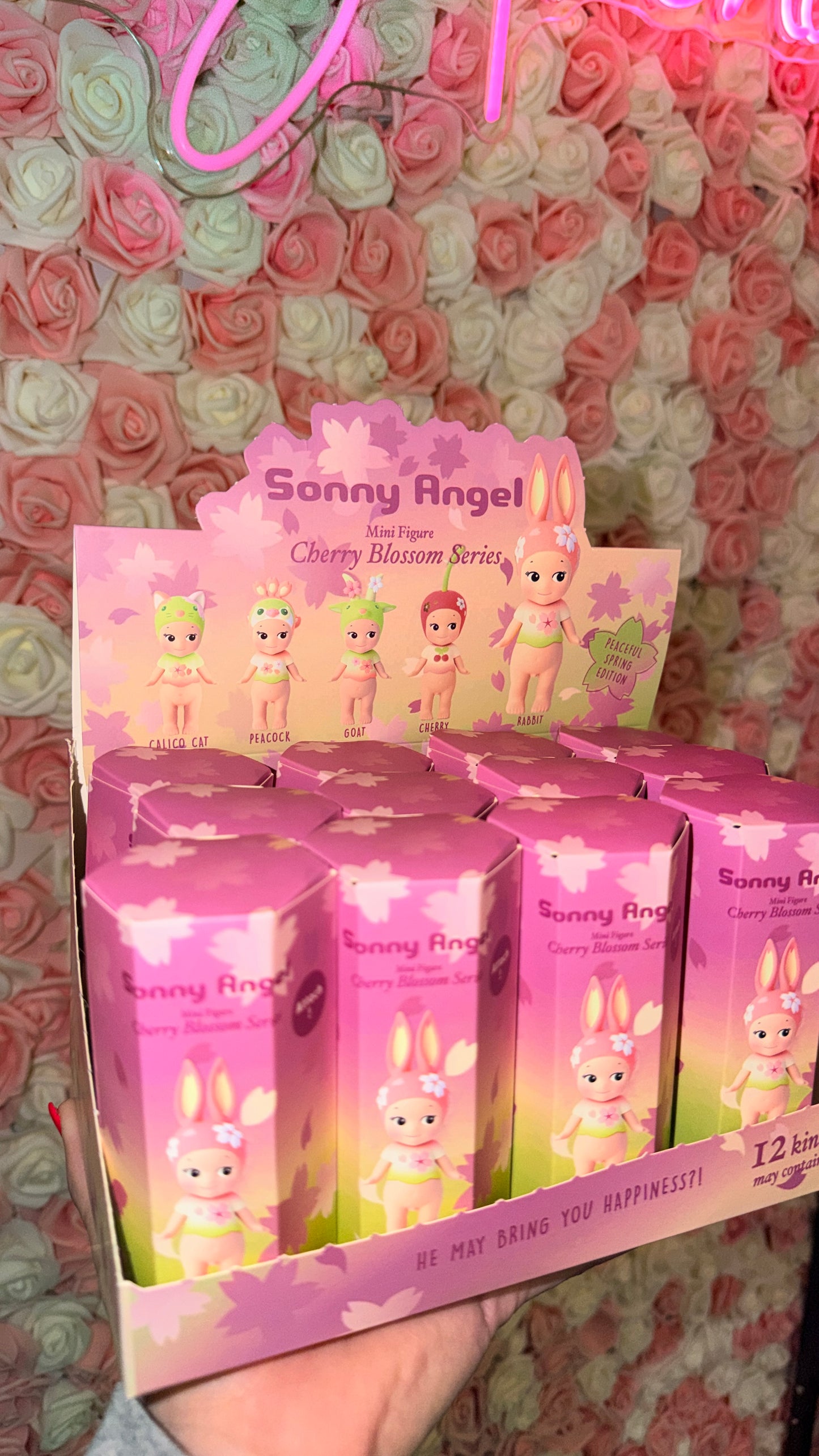 Sonny Angel MYSTERY BUNDLE - 5pcs