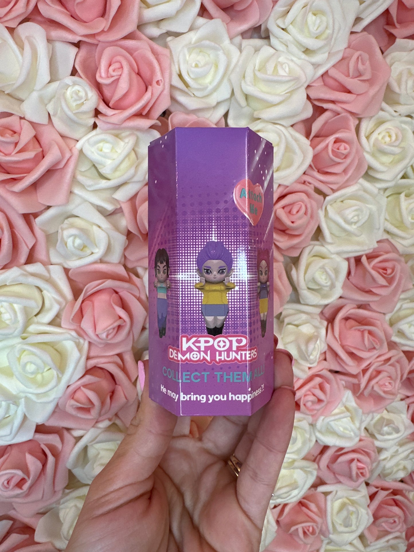 Demon Hunters Hippers