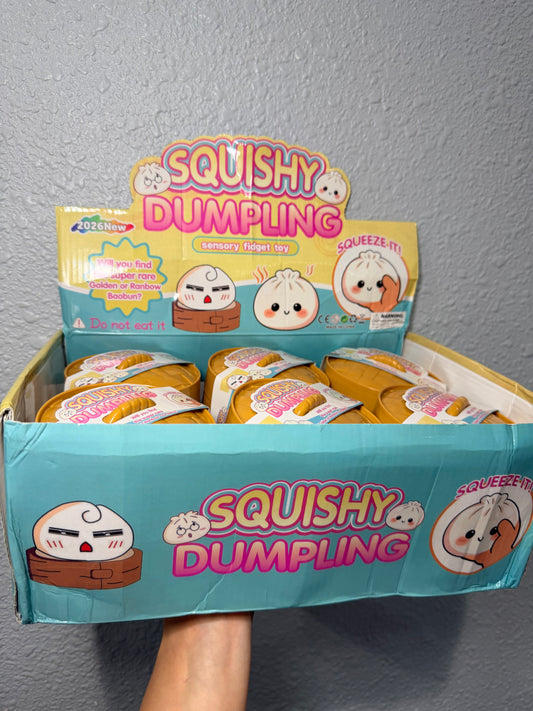 MYSTERY Squishy dumpling
