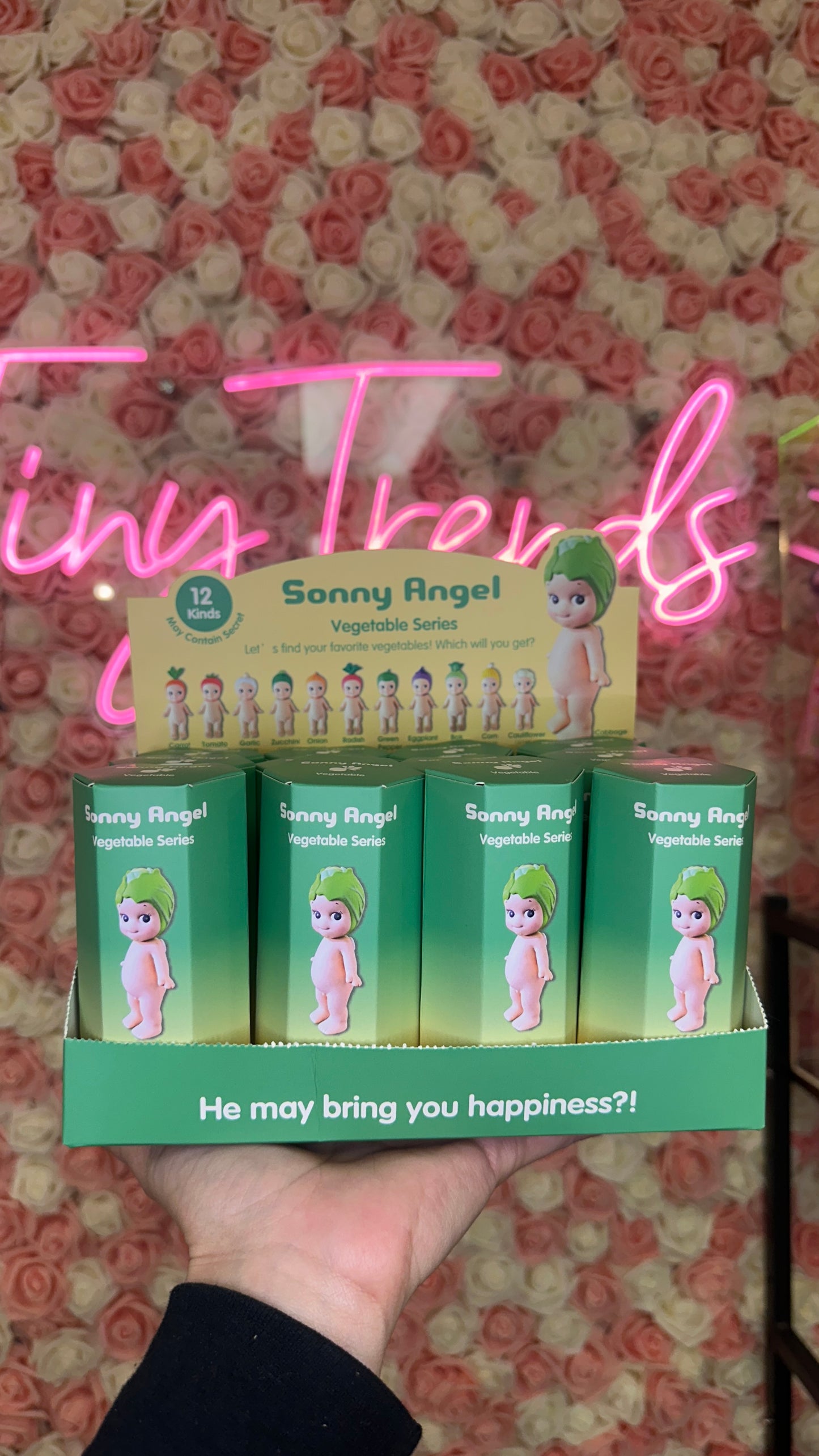 Sonny Angels Surprise Figures