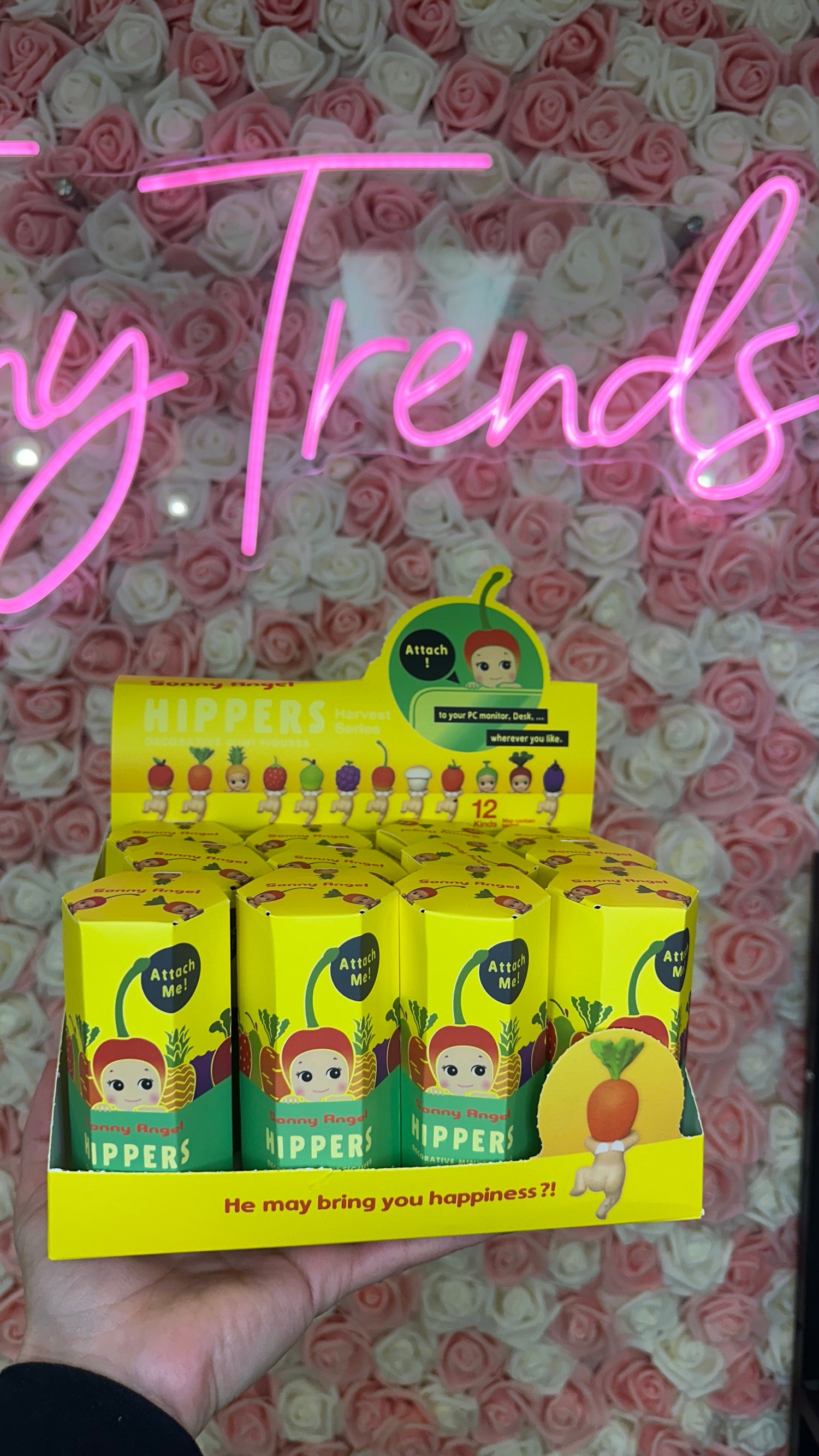 Sonny Angels Collectibles