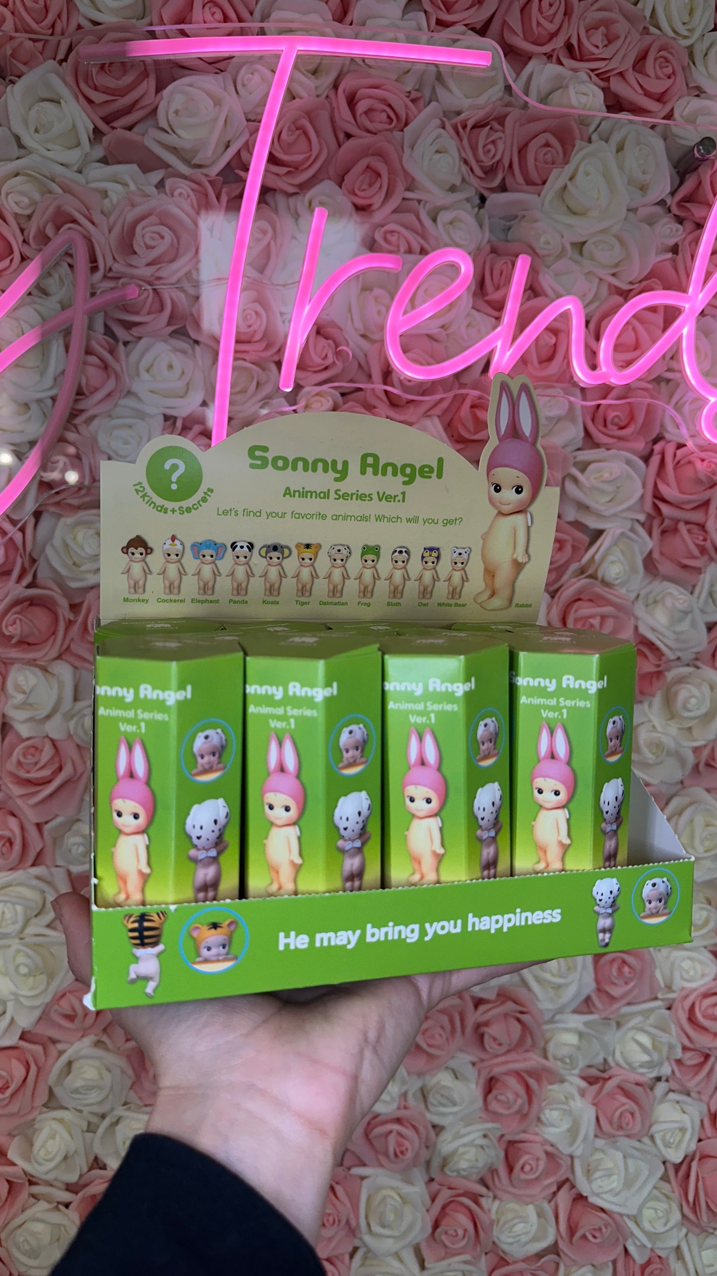 Sonny Angels Surprise Figures